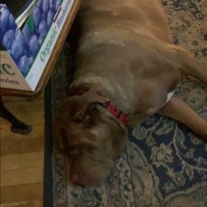 CLOSING ON MY HOUSE IN ONE WEEK!!  Offer now.